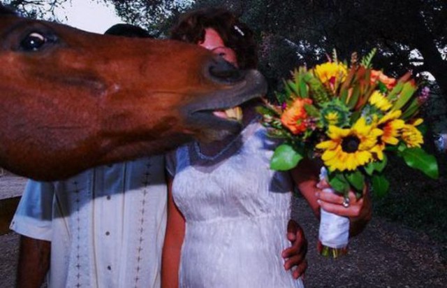 Смешные свадебные фотобомбы