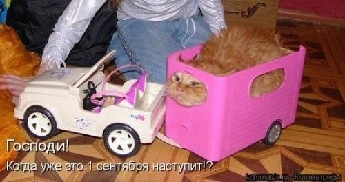 Фото прикол на 1 сентября