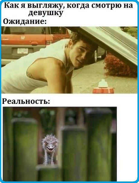 Ожидания и реальность. Подборка картинок