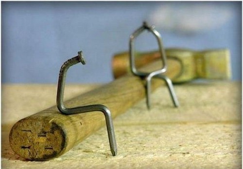 Тайная жизнь гвоздей