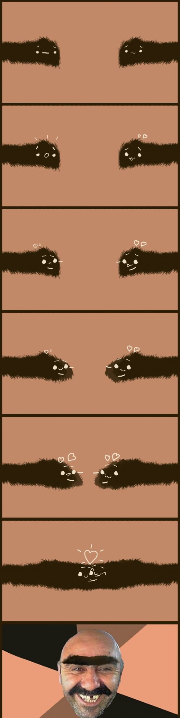 Брови... Они тоже хотят любви