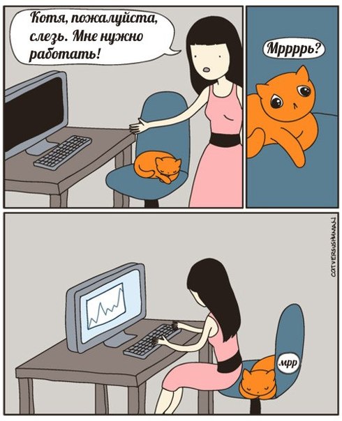 Прикольная картинка про кота