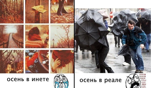 Картинка про осень