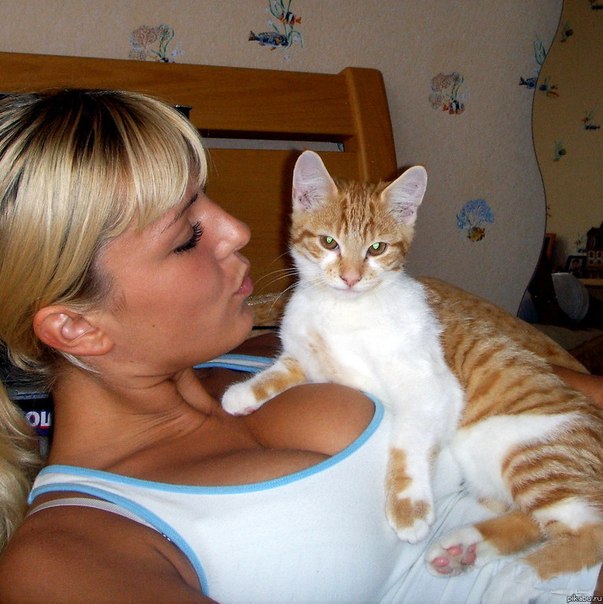 Кот - счастливчик