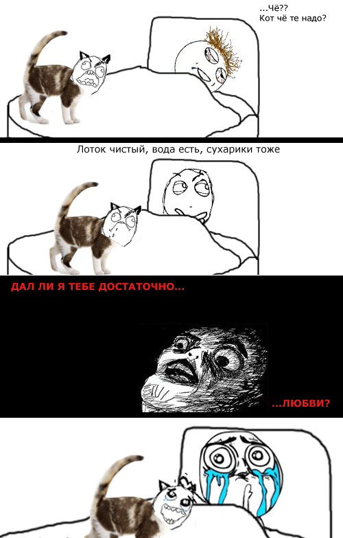 Комикс про кота