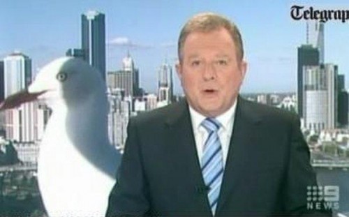 Топ неудачных фото