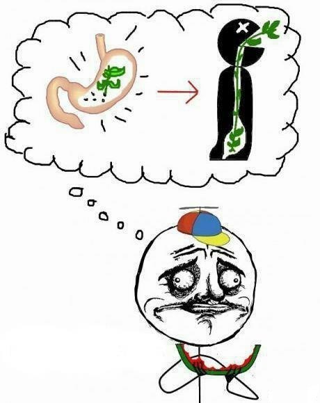 Вы тоже так думали?