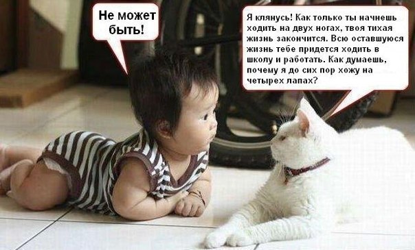 Котэ рассказывает про жизнь