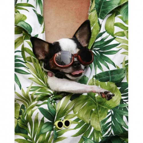 Я - красотко!