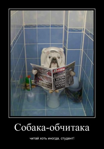 Собака-обчитака