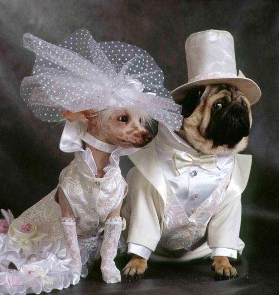 Необычные свадьбы