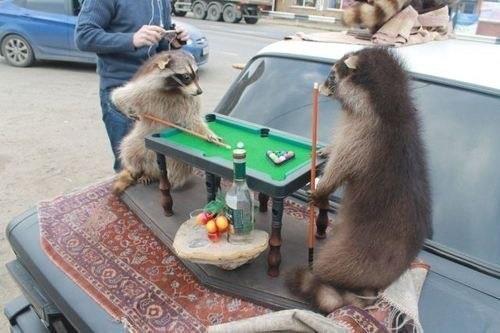 Реальные пацаны отдыхают