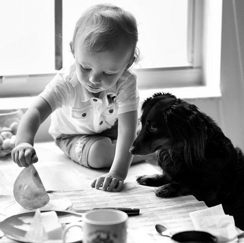 Детки и их любимцы