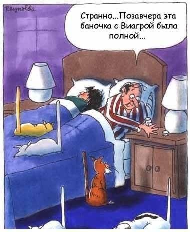 Кто первый, того и тапки