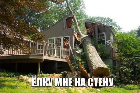 Подборка новогодних мемов