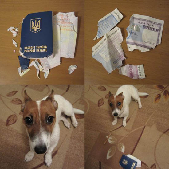 Вот он был, а вот его уже и нет... (паспорт)