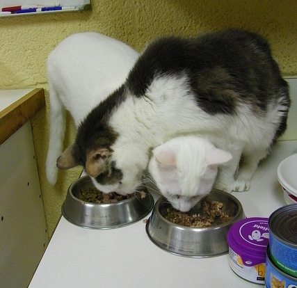 Из чужой тарелки всегда вкуснее есть