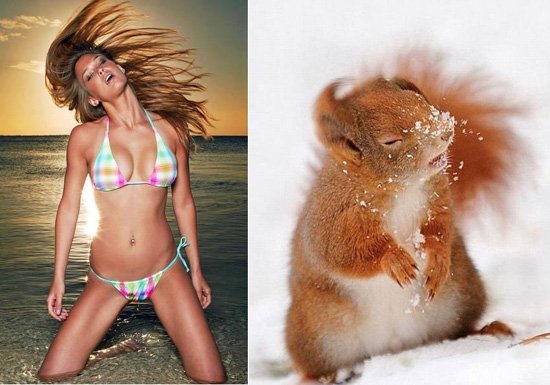 Ожидание и реальность