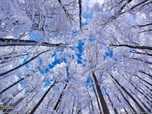 Топ лучших фото января