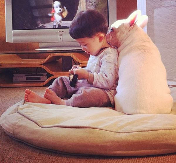 Сладкая дружба