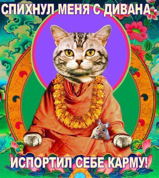 Не порть себе карму!