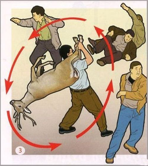 Урок самозащиты оленем.