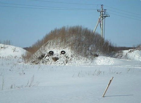 Показалось? или ёжик в снегу