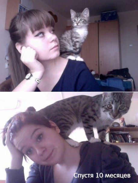  -мужик, крокодила продаешь?---нет, ищу падлу, который мне полгода назад хомячка продал...