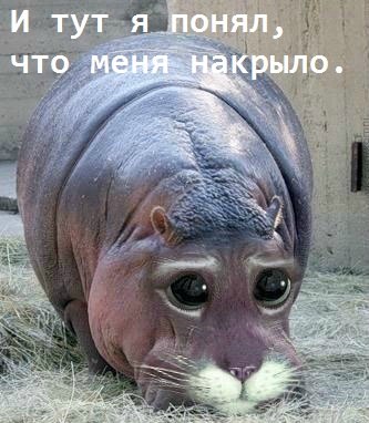 Няшка с котячими глазами