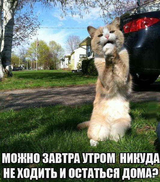 А можно сегодня остаться дома??