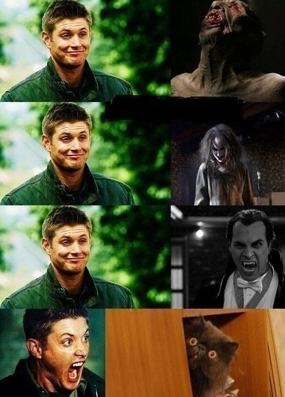 Реакция на ужасы и няшку