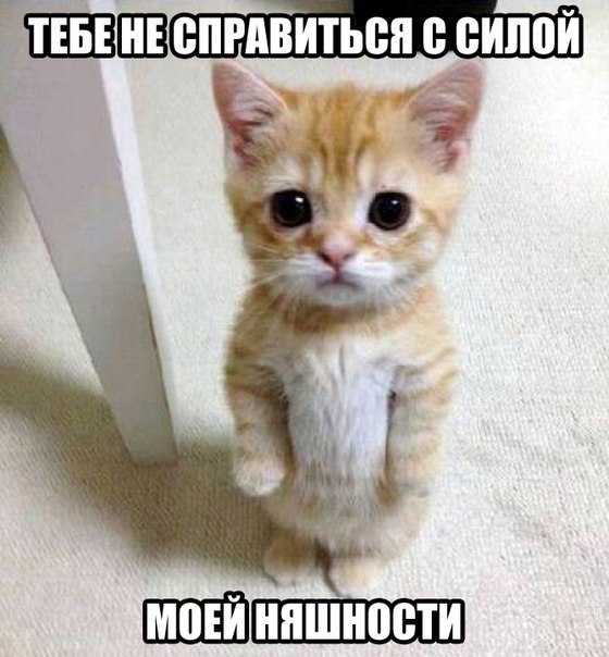 Тебе не справится с моей силой