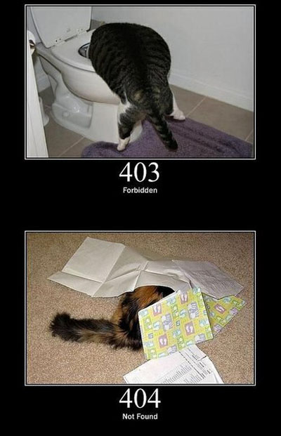 Системные ошибки в виде котэ