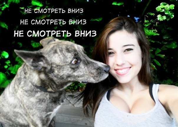 Собака тоже мужик