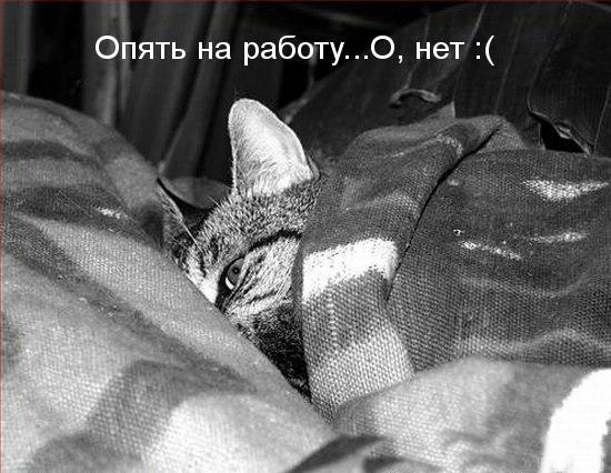 С Добрым утром!!