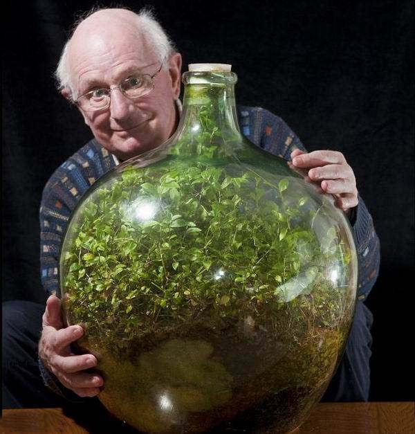 40-летняя экосистема в закупоренной бутылке.