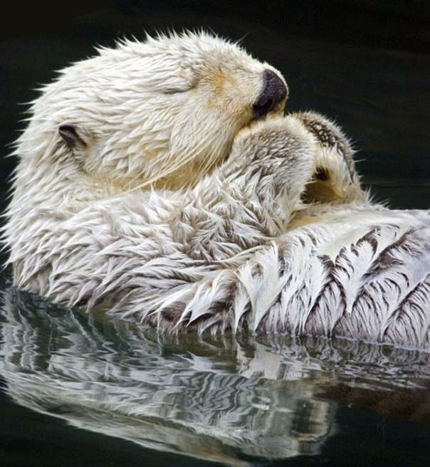 Пробуждение выдрочки