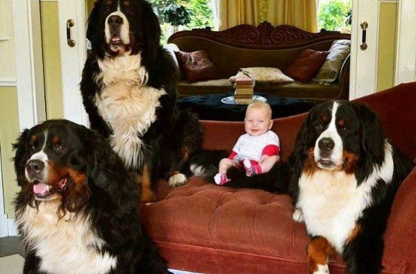 Я и мои телохранители