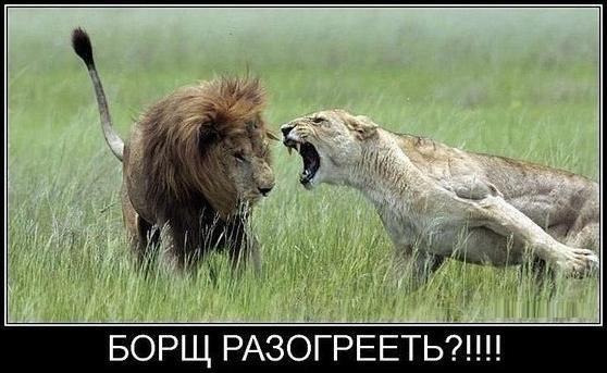 Борщ разогреть?