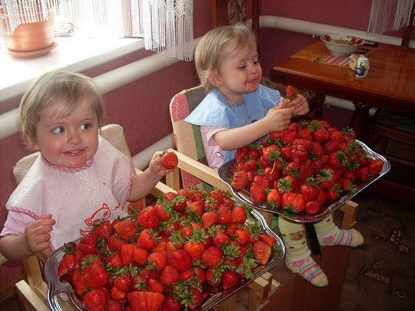 Клубничный рай... эх сейчас бы клубнични
