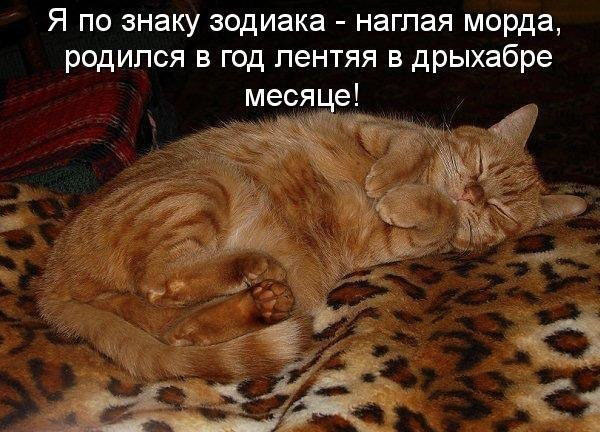 Главный лентяй месяца