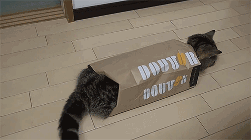 Милые гифки с няшками