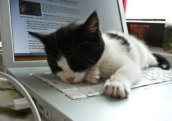 Уснувшие за работой