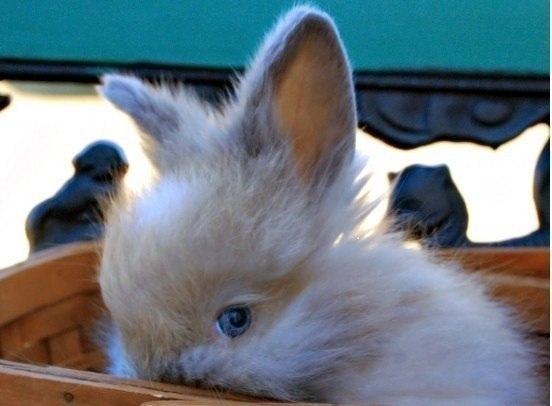 Малыш застеснялся