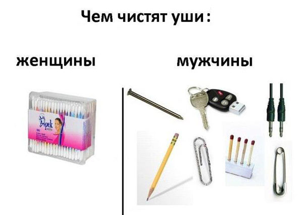 Разница между мужчиной и женщиной