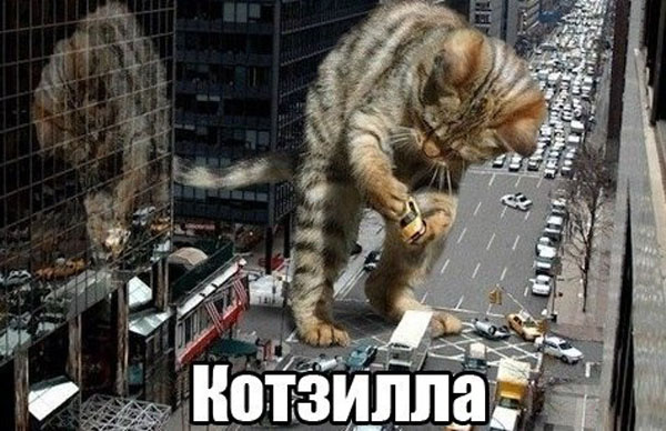 "Котозилла". Скоро в кинотеатрах