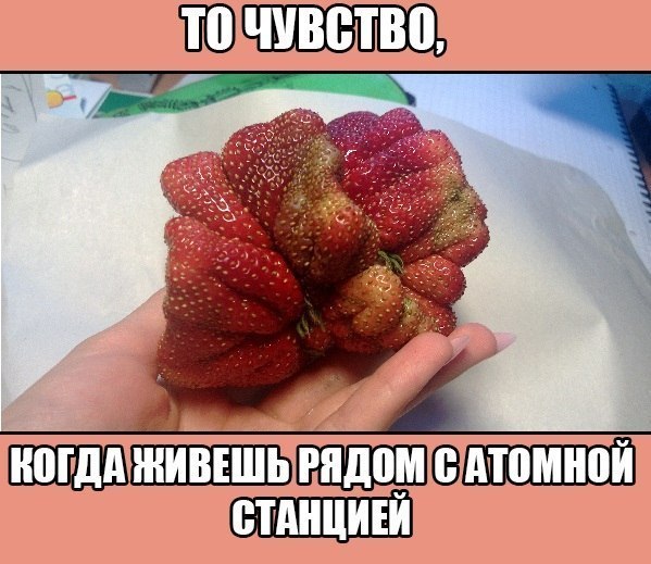 Это неловкое чувство... Фотоприкол