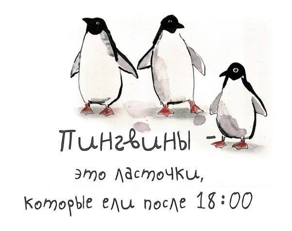 Прикольная картинка про толстых ласточек