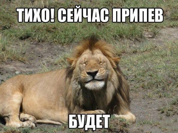 Веселый мем с няшкой