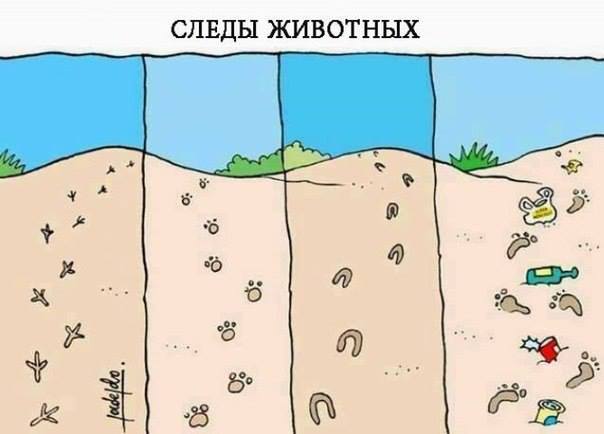 Там на неведомых дорожках Следы невиданных зверей..